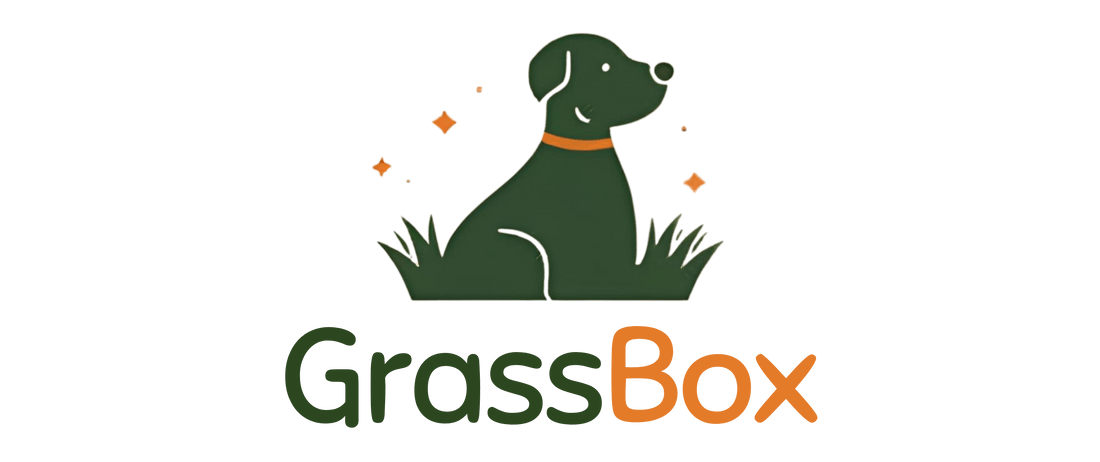 Kutyapelenka ivartalanítás vagy más műtét után – mikor kell, és meddig tartson? - GrassBox