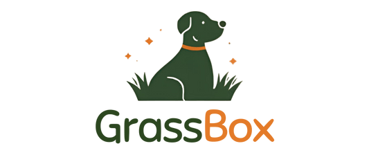Kutyapelenka ivartalanítás vagy más műtét után – mikor kell, és meddig tartson? - GrassBox